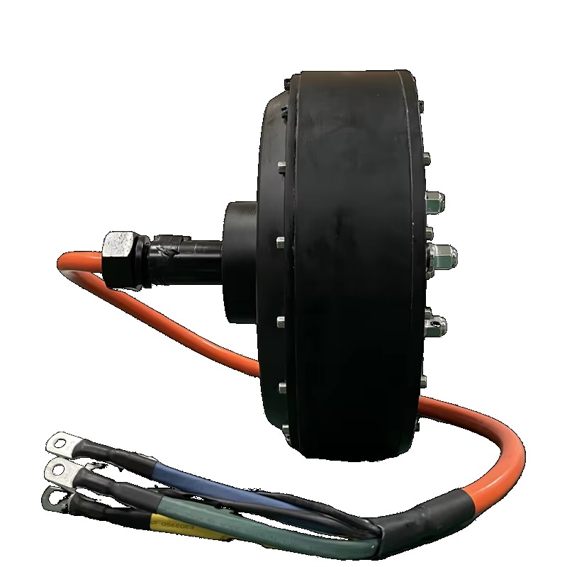 Dual QS 273 8000W 72V Electric - Qs Motor 273 8000W Hub Motor review and price